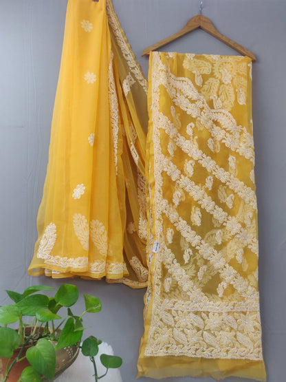 Chhaya - Georgette Chikankari Chhadi Sarees
