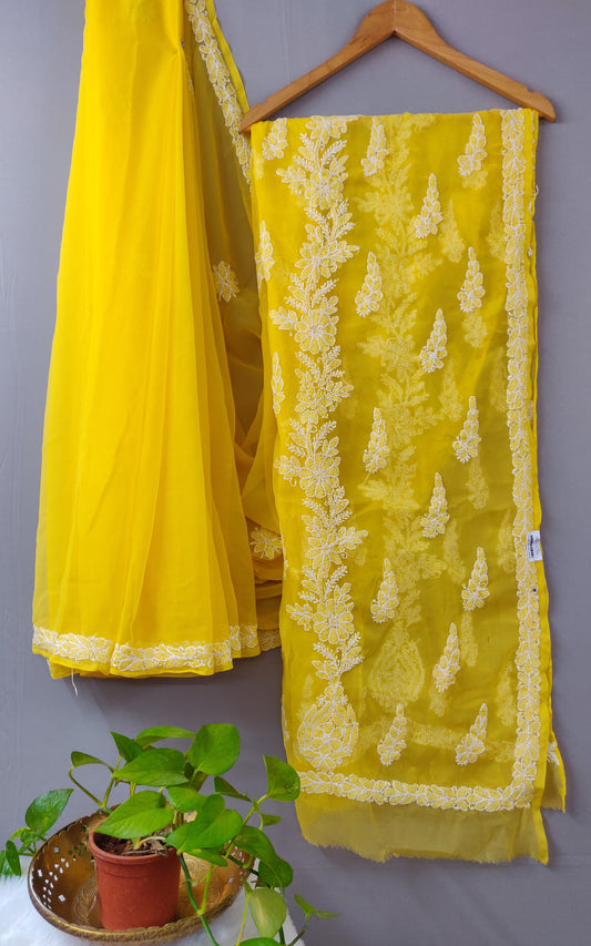Chhaya - Georgette Chikankari Sarees
