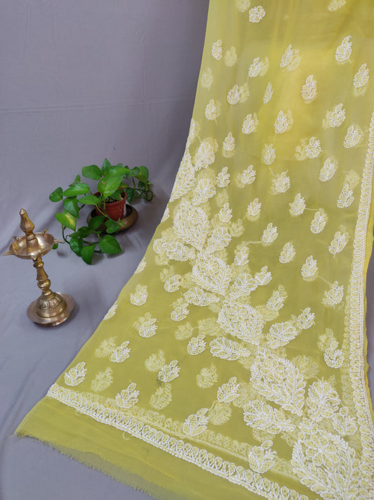 Sunehri - Georgette Chikankari Ghas Patti Sarees