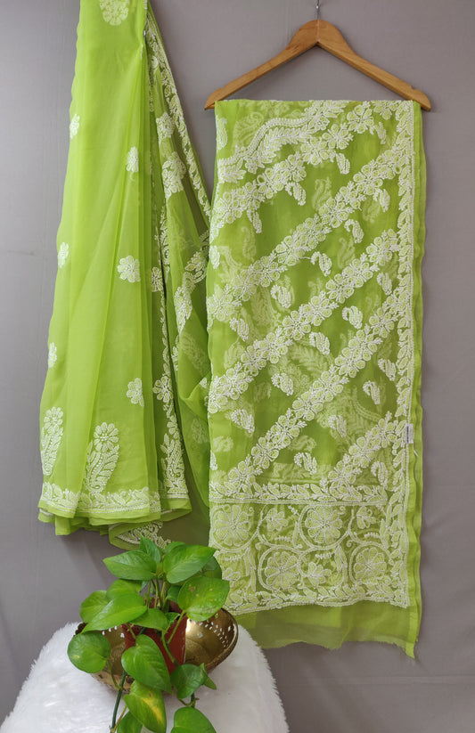 Chhaya - Chikankari Georgette Chhadi Sarees